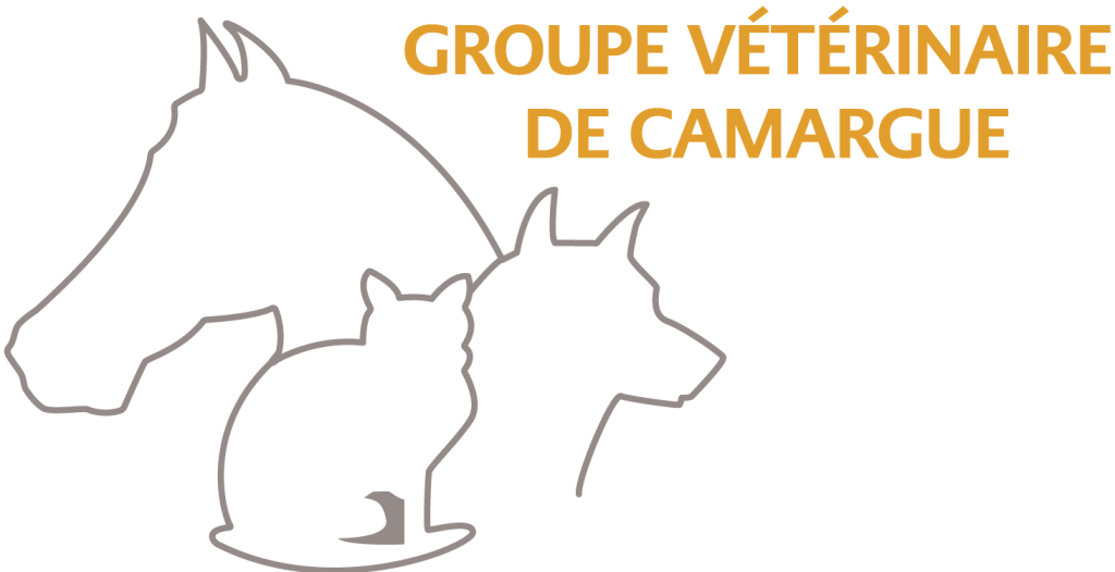 logo gvc couleurs 02 02 1