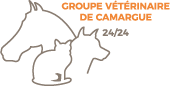 Groupe vétérinaires de Camargue - Soins délivrés aux chiens, chats, NAC, cheval, lapin, tortue et tous les animaux à poils, à plumes ou à écailles