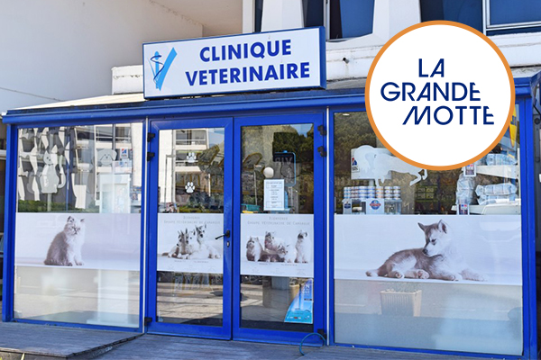Clinique vétérinaire - Camargue - LGM
