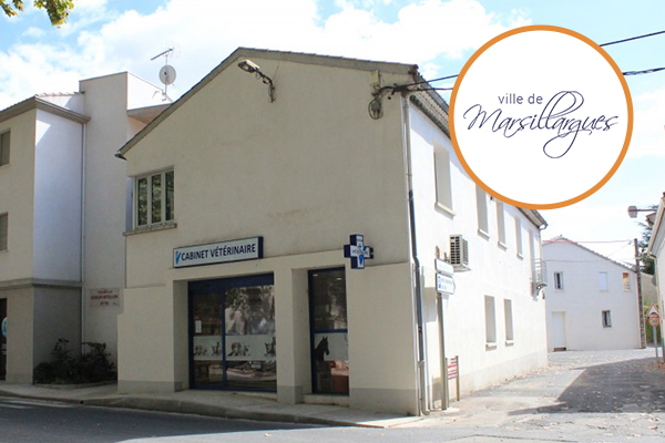 CLINIQUE VETERINAIRE MARSILALRGUES