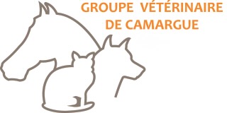 logo groupe vétérinaire de camargue sans 24:24